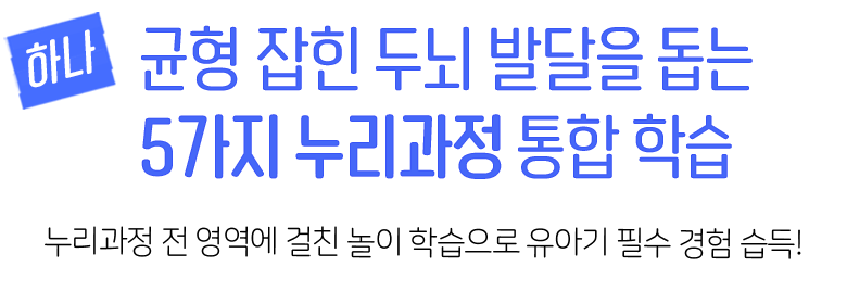 5가지 누리과정 통합 학습